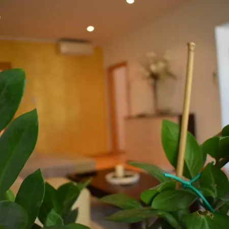 Fantasy Apartment *