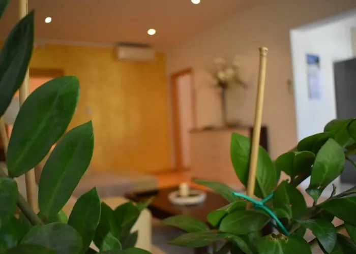 Fantasy Apartament *